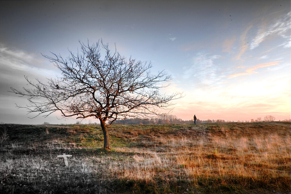 conceptfotografie fifiane broeken